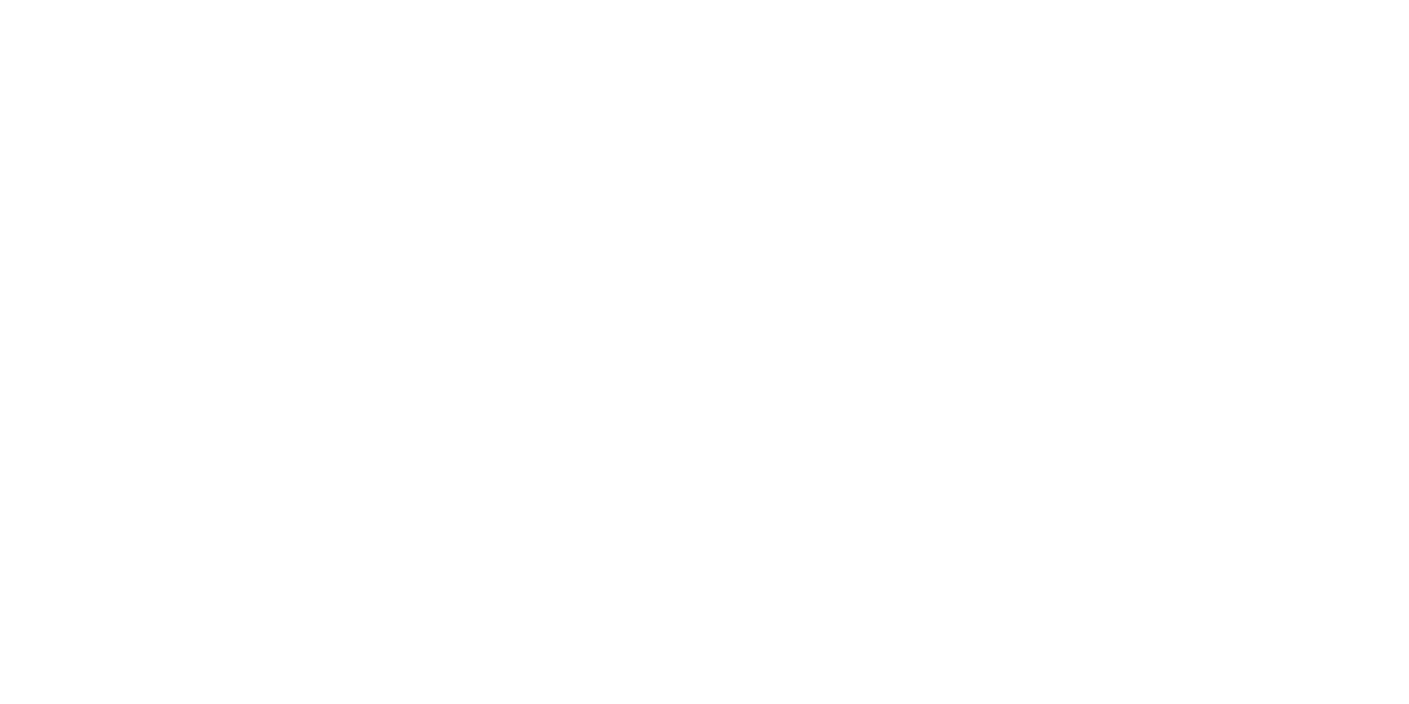 schoenwijs